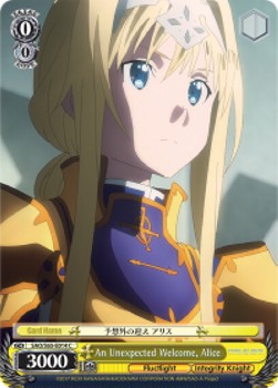 An Unexpected Welcome, Alice - Sword Art Online -Alicization-