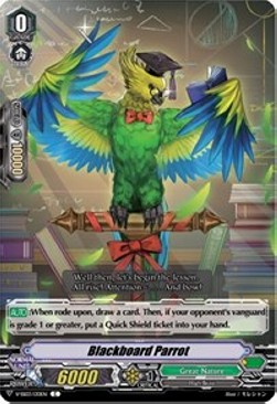 Blackboard Parrot [V Format] - Festival Collection