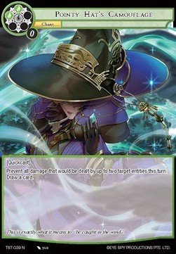 Pointy Hat's Camouflage - The Seventh