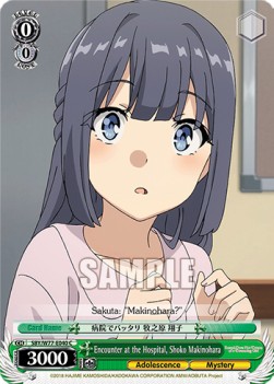 Encounter at the Hospital, Shoko Makinohara - Rascal Does Not Dream of a Dreaming Girl