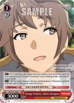 Strange Incidents, Sakuta Azusagawa - Rascal Does Not Dream of a Dreaming Girl