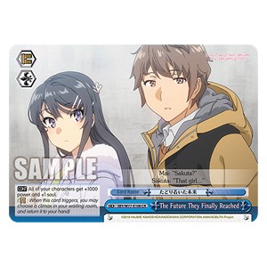 The Future They Finally Reached (V.1 - Climax Rare) - Rascal Does Not Dream of a Dreaming Girl