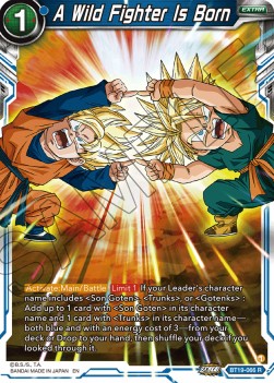 A Wild Fighter Is Born - Fighter's Ambition