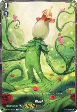 Plant [D Format] - Minerva Rising