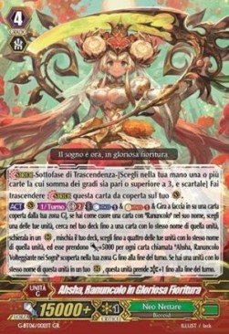 Ranunculus in Glorious Bloom, Ahsha [G Format] (V.1 - Generation Rare) - Tempesta di Fiori