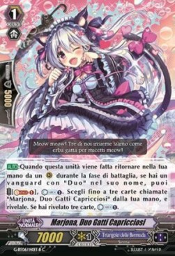 Duo Caprice Cats, Marjona [G Format] - Tempesta di Fiori