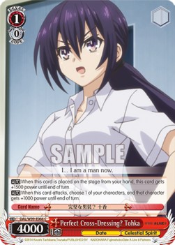Perfect Cross-Dressing? Tohka - Date A Live Vol.2