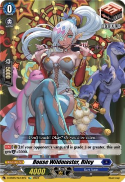 Rouse Wildmaster, Riley [D Format] - Festival Booster 2023