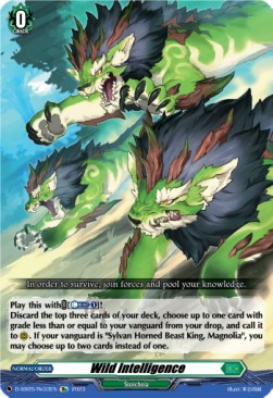 Wild Intelligence [D Format] - Festival Booster 2023