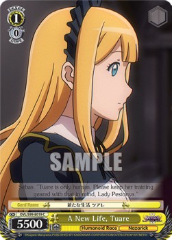 A New Life, Tuare - Nazarick: Tomb of the Undead Vol.2