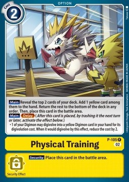 Physical Training (P-105) - Promos