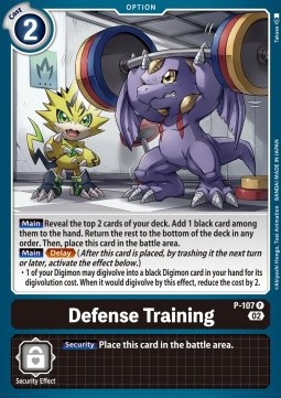 Defense Training (P-107) - Promos