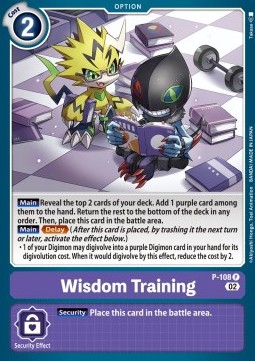 Wisdom Training (P-108) - Promos