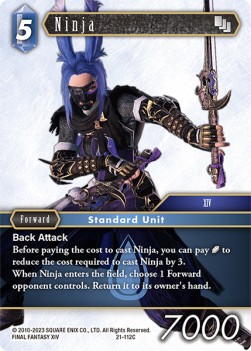 Ninja (21-112) - Beyond Destiny