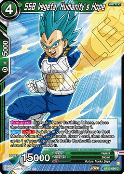 SSB Vegeta, Humanity's Hope - Perfect Combination