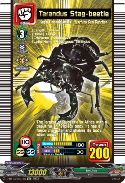 Tarandus Stag-beetle [D-Format] - Flight of Chakrabarthi