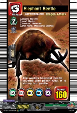 Elephant Beetle [D-Format] - Flight of Chakrabarthi