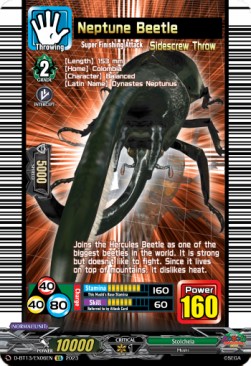 Neptune Beetle [D-Format] - Flight of Chakrabarthi