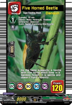Five Horned Beetle [D-Format] - Flight of Chakrabarthi