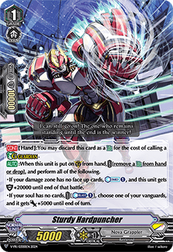 Sturdy Hardpuncher [V-Format] - V-Promos