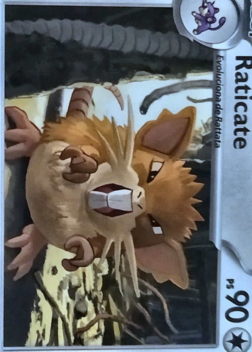 Raticate