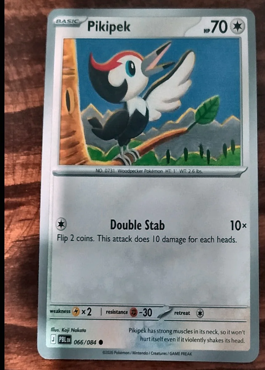 Pikipek