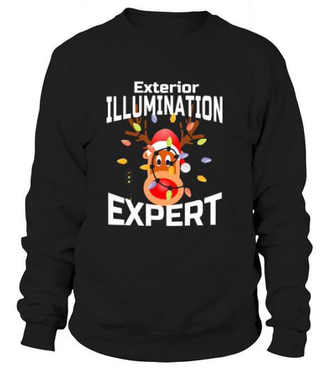 Exterior Illumination Expert For Christmas Lights Experts Sweatshirt Unisex