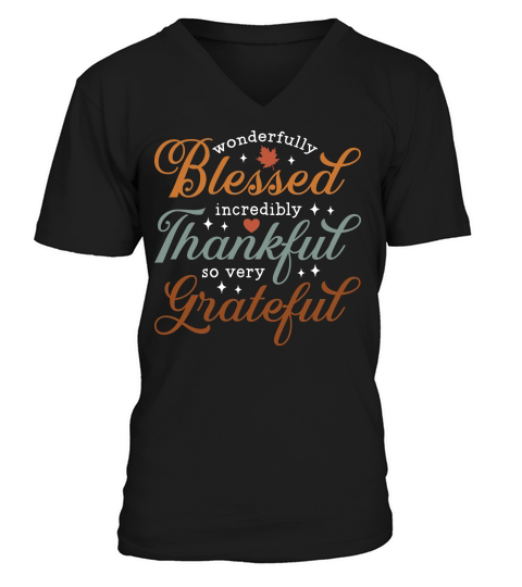 wonderfully blessed incredibly 1 V-Neck T-shirt
