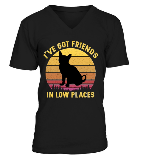 Vintage Australian Mist I Have Got Friends In Low Places Cat Lovers V-Neck T-shirt