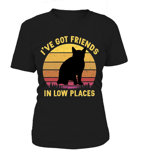 Vintage American Wirehair I Have Got Friends In Low Places Cat Lovers Women's T-Shirt