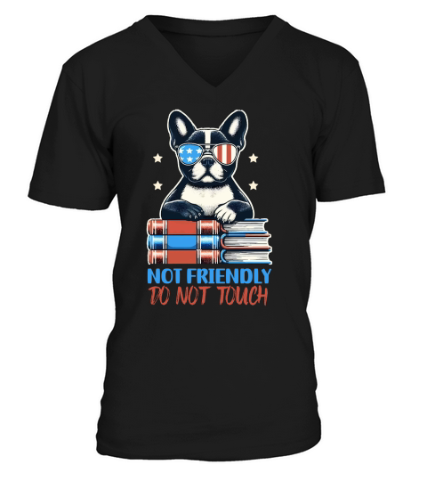 not freindly do not touch V-Neck T-shirt