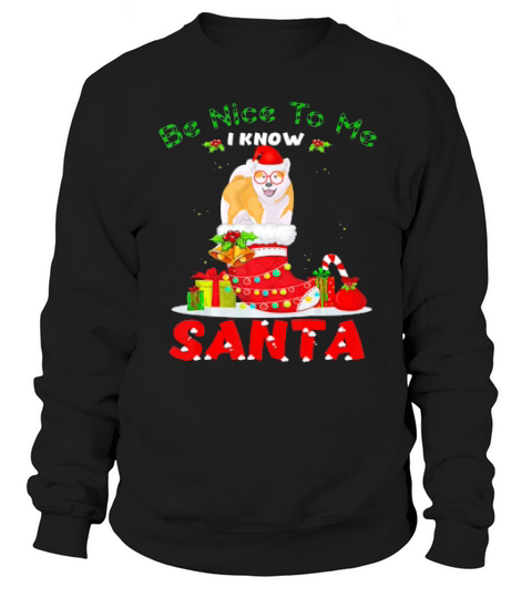 Be Nice To Me I Know Santa Akita Inu Dog Christmas Sweatshirt Unisex