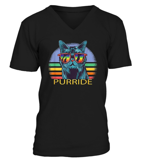 Purride Lgbtq Vintage Funny V-Neck T-shirt