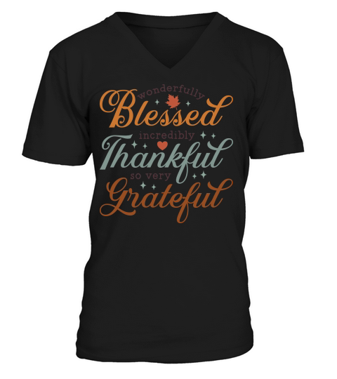 wonderfully blessed incredibly V-Neck T-shirt