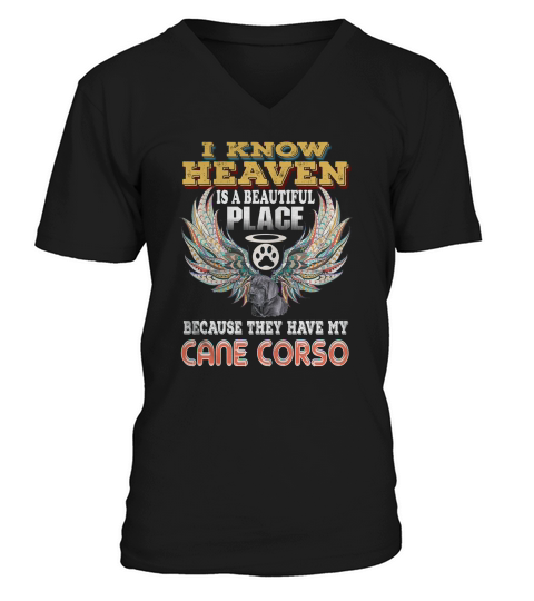 I Know Heaven Is Beautiful Place Beacause They Have My Cane Corso V-Neck T-shirt