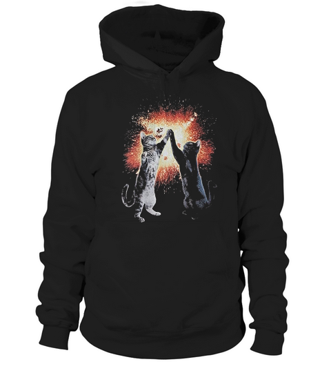 Lost Gods Boys Cat Five Graphic Hoodie Unisex