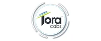 Franchise Logo