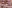 IMAGE ALT TEXT HERE