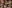 IMAGE ALT TEXT HERE
