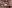 IMAGE ALT TEXT HERE