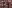 IMAGE ALT TEXT HERE