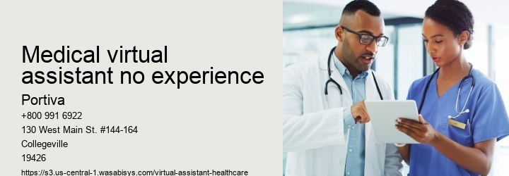 medical virtual assistant no experience