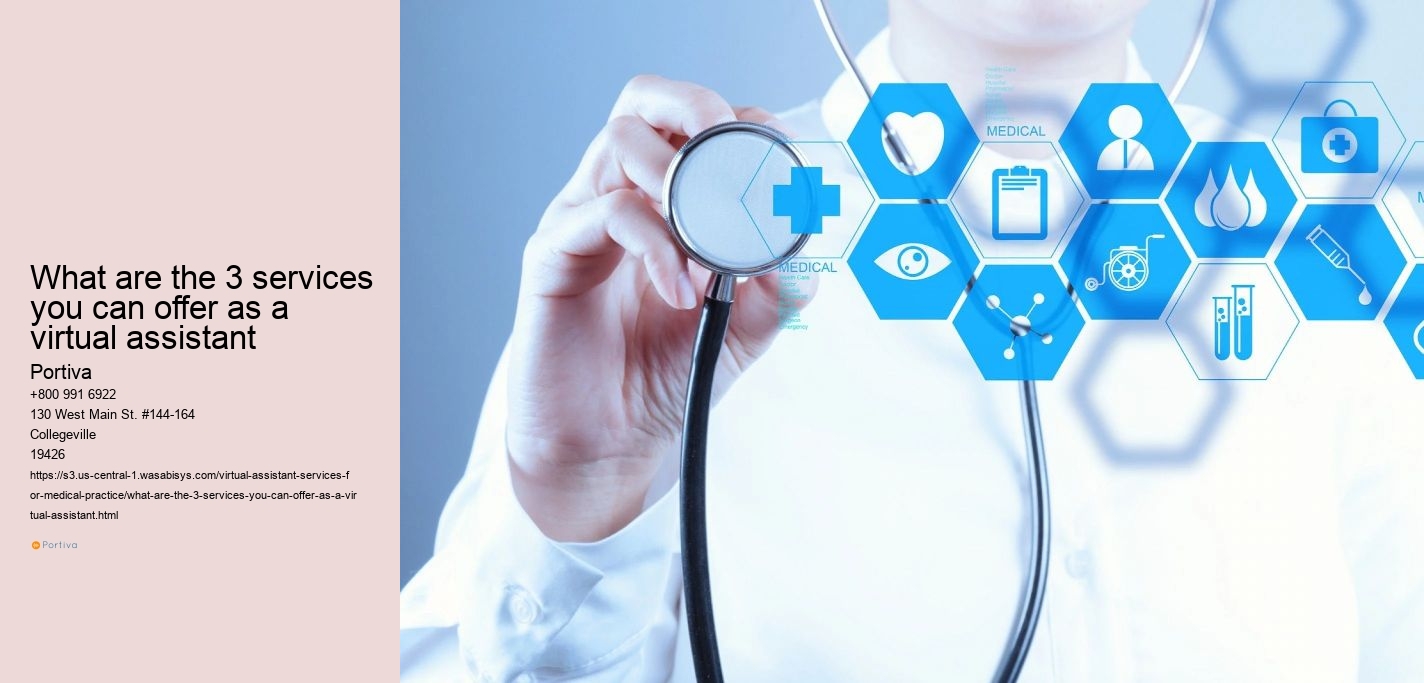 What are the 3 services you can offer as a virtual assistant