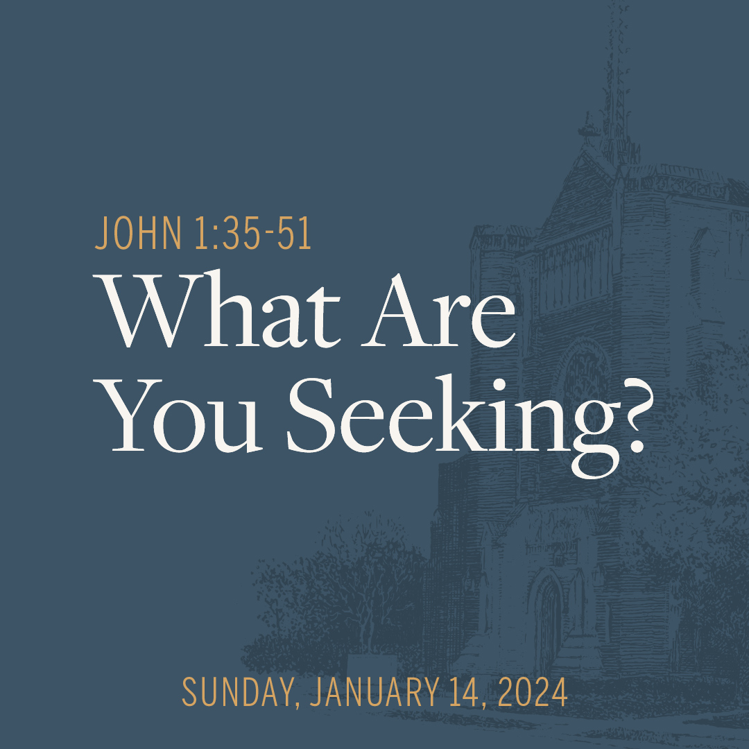 What Are You Seeking?