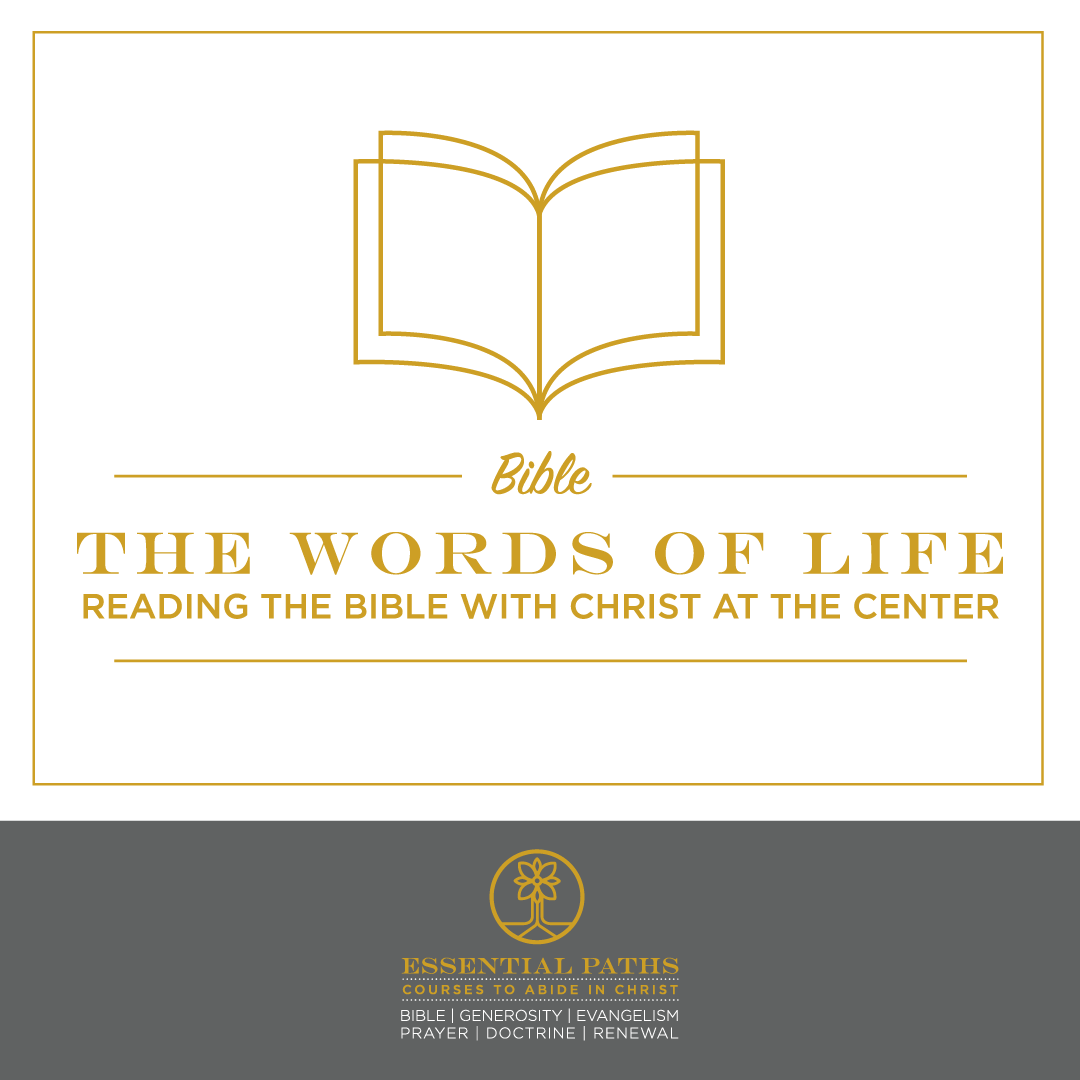 The Words of Life: Reading the Bible with Christ at the Center