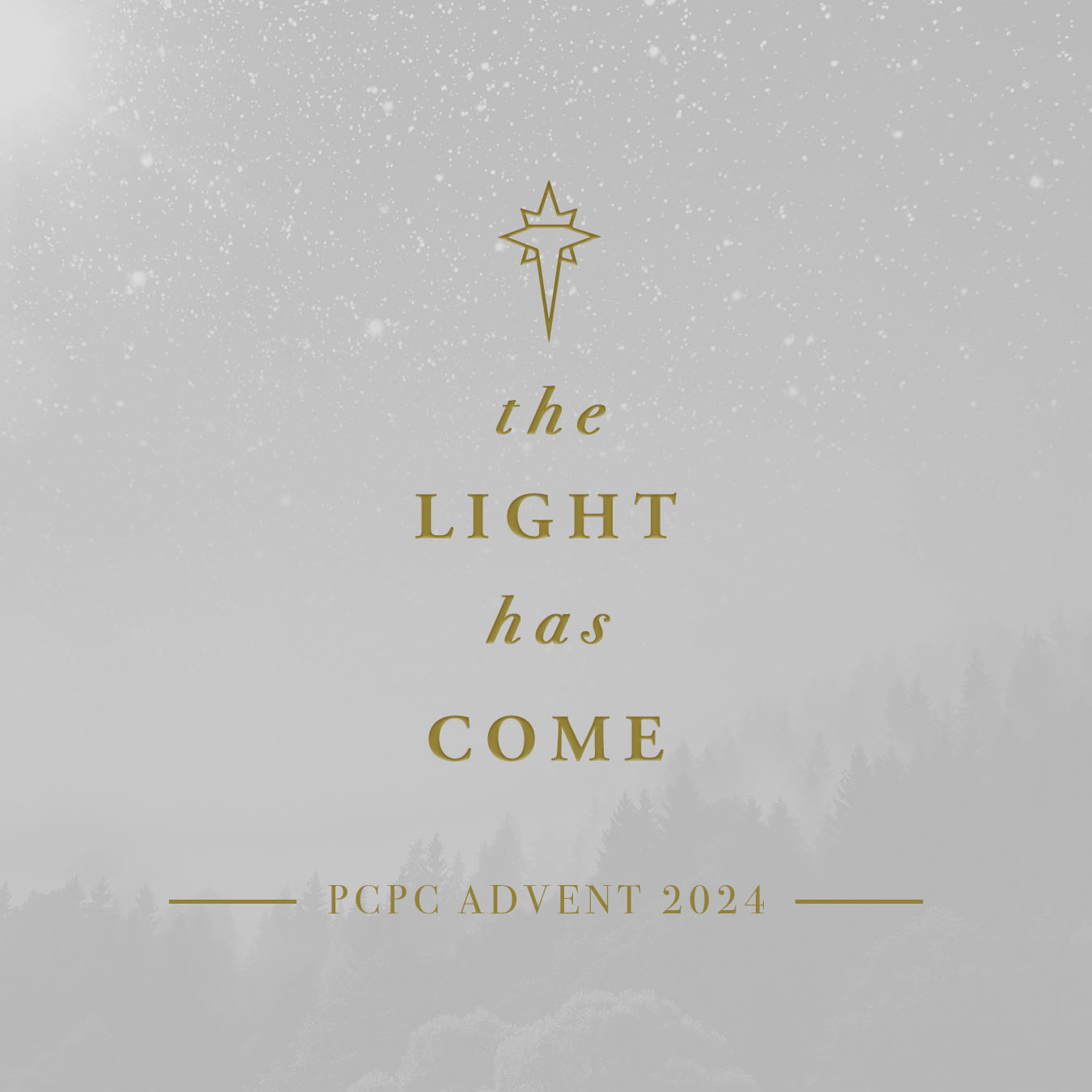 Advent 2024: The Light Has Come