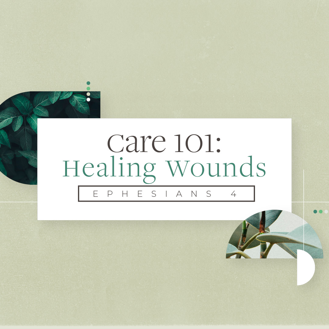 Care 101 - Healing Wounds