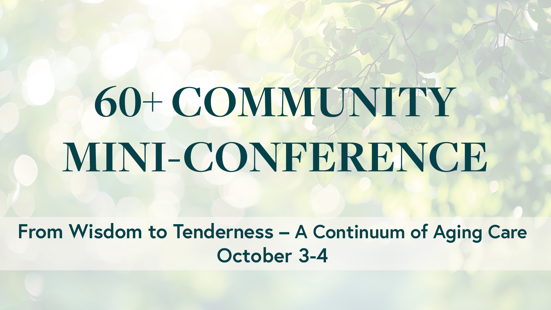 1920x1080-mini-conference.jpg
