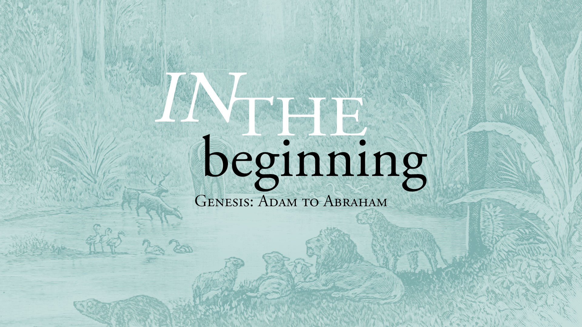 1920x1080_in-the-beginning-garden.jpg