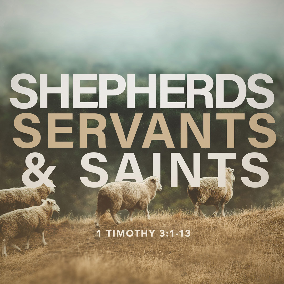 Shepherds, Servants, & Saints
